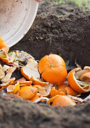 Composting guide for beginners