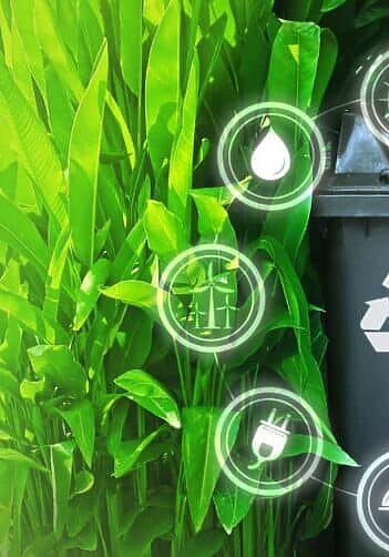 Waste Management in Environmental Conservation